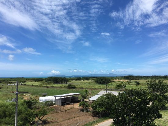 黒島レンタサイクル 「ハートアイランド」を自転車で駆け抜けよう！のどかな島をのんびり観光♪＜石垣島発＞