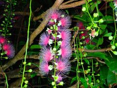 IMG_4265-640x480