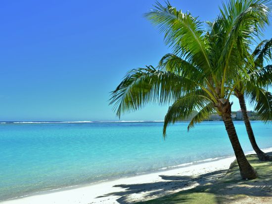 eSIMサービス グアム島内対応＜データ無制限／最大10日間／日本語対応／データ通信専用＞