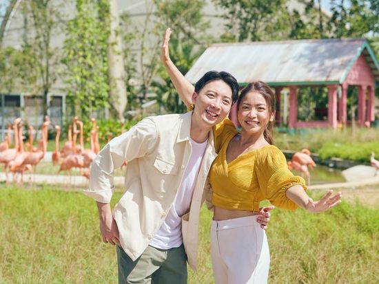 Go City - Birds Paradise