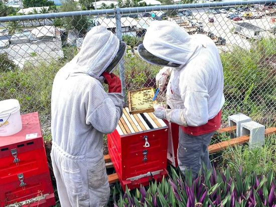 FB_IMG_1706785368055