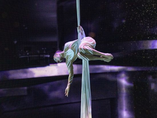 『ラ・パール・バイ・ドラゴン（La Perle by Dragone）』ショー・チケット予約