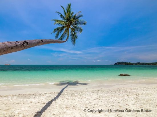 シンガポール発 フェリーで1時間の楽園 インドネシア・ビンタン島「ニルワナ ガーデンズ」宿泊付きツアー ＜1泊2日／朝食付き＞