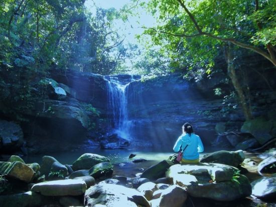 【ベストプライス】西表島マングローブ滝トレッキングツアー マイナスイオンをたっぷり感じる森林浴トレッキング＜11～4月／指定ホテル送迎選択可／石垣島発＞