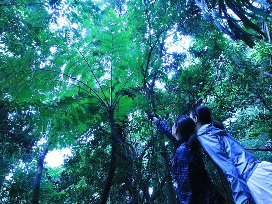 滝トレッキング