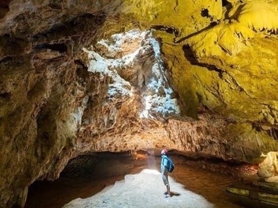 世界複合遺産ティエンハー洞窟クルーズ＆古都ホアルー　1日観光ツアー ＜食事付き／日本語ガイド／ハノイ発＞