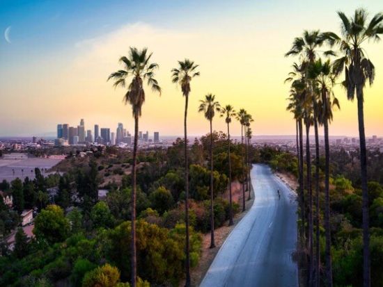 【往復送迎】球場 ⇔ ロサンゼルス周辺ホテル送迎サービス　野球観戦に便利 ＜3～9月／日本語ドライバー＞