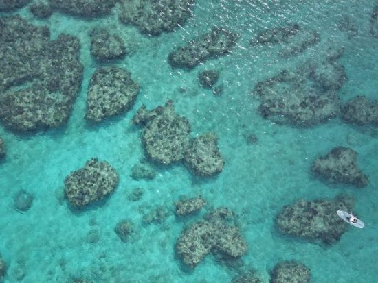 選べるクリアサップ・クリアカヤック体験プラン 後半はシュノーケリングでウミガメや熱帯魚たちと探検 ドローン撮影サービス付き＜2時間／恩納村＞