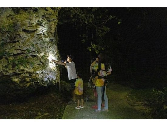 11000004623005_uu21THcQ_4