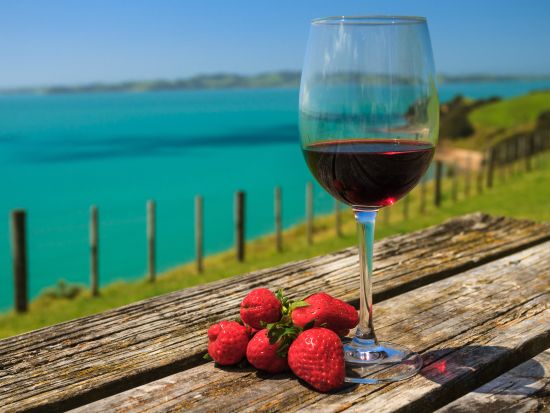 eSIMサービス ニュージーランド国内対応＜1～10GB／最大30日間／日本語対応／データ通信専用＞