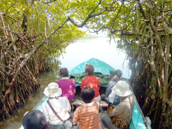 世界遺産ゴール 観光ツアー　ボートサファリ体験もできる＆マングローブの木下でランチ付き＜貸切／日本語ガイド＞