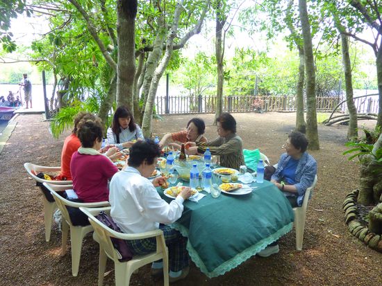 3_Lunch_Under_Mangrove