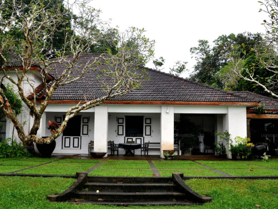 世界遺産ゴール 観光ツアー　ボートサファリ体験もできる＆マングローブの木下でランチ付き＜貸切／日本語ガイド＞