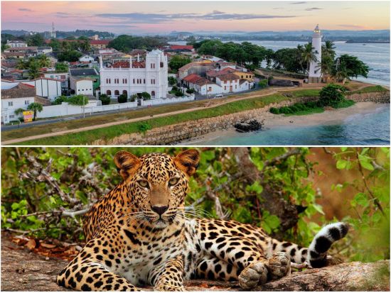 ヤーラ国立公園＆世界遺産ゴール　観光ツアー ＜貸切／日帰りまたは1泊2日／日本語ガイド＞