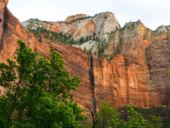 USA_Utah_Rock cliffs in the Temple of Sinawava_Zion National Park_shutterstock_1016382484