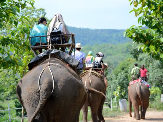 バンコク発 チェンマイ観光＋コムローイ祭り1泊2日宿泊ツアー　エアアジア利用　CADランタンフェスティバル＜ドンムアン空港発着＞