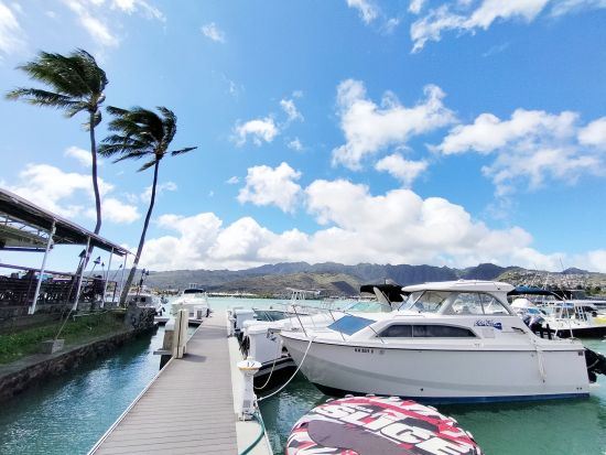 マリンスポーツパッケージ　3種類　バナナボート＋バンパーチューブ＋ウミガメシュノーケリング＜ハワイカイ＞