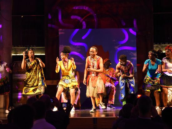 レストラン「GOLD」でアフリカンディナーショー＆民族楽器ジャンベ演奏体験＜英語／往復送迎付き／ケープタウン発＞