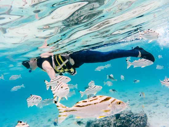 マリンジェット・和船チャーターツアー 完全貸切！シュノーケリング＋GoProレンタル付＜半日 or 全日／1～8名／2歳～参加OK／送迎あり／石垣島＞