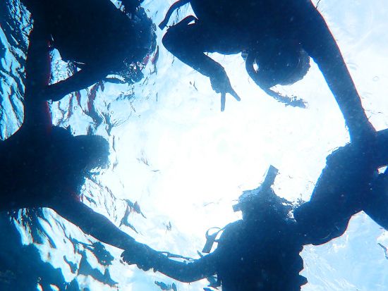 シュノーケリングツアー 完全貸切！石垣島の透明度の高い海を堪能しよう GoProレンタル付＜1日3便／2歳～参加OK／送迎あり／石垣島＞