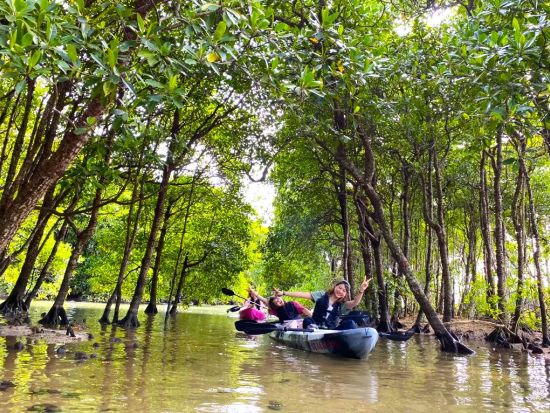 【ベストプライス】億首川マングローブカヤックツアー 動画・写真撮影無料！川も海も１度に２度楽しめる満喫プラン！＜2歳以上／沖縄本島中部＞by シーラバーズ沖縄