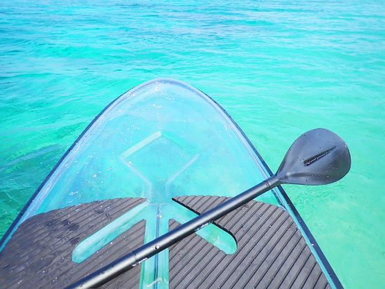 SUP or クリアSUPツアー 完全貸切！石垣の海をSUPでのんびり水上散歩 GoProレンタル付＜1日3便／2歳～参加OK／送迎あり／石垣島＞