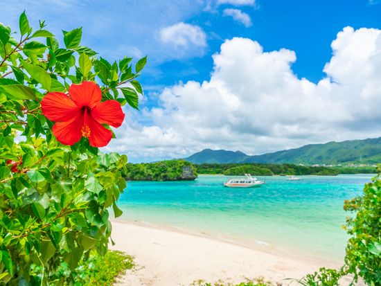 AdobeStock_396002784