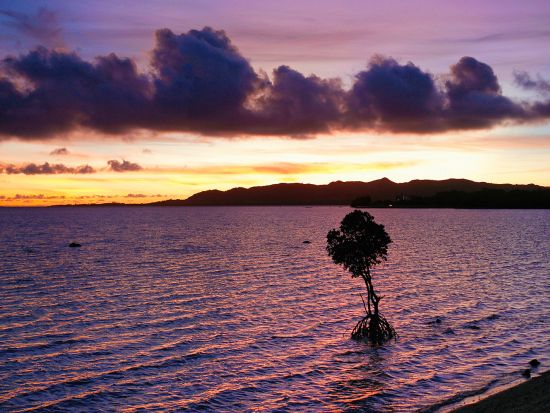 サンセットSUP・クリアSUPツアー 完全貸切！石垣島の海の上から夕日を楽しむ贅沢体験 GoProレンタル付＜18:00～／2歳～参加OK／送迎あり／石垣島＞