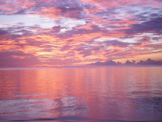 サンセットSUP・クリアSUPツアー 完全貸切！石垣島の海の上から夕日を楽しむ贅沢体験 GoProレンタル付＜18:00～／2歳～参加OK／送迎あり／石垣島＞