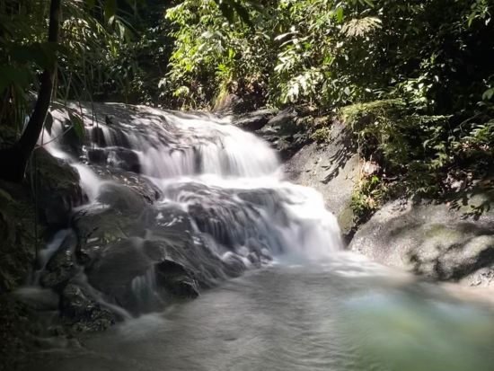 テンブロン地区 熱帯雨林ツアー　ロングボート川下り＆滝つぼ散策 ＜昼食付き／日本語ガイド＞