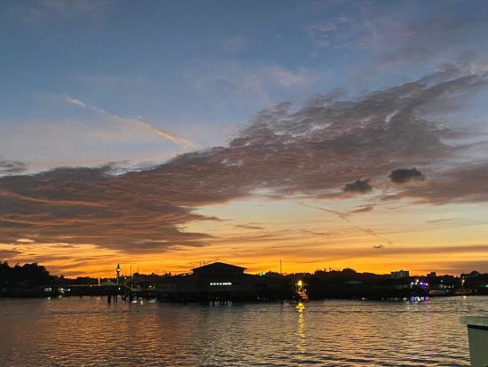 ブルネイ ホタル観賞クルーズツアー　水上集落沿いのローカル食堂の夕食付き ＜日本語ガイド＞