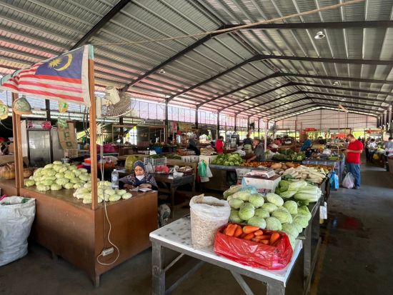 コタキナバル市内観光＋バティック染め体験＋ロッカウィ野生動物園＋蛍鑑賞リバークルーズ  1日満喫ツアー ＜昼食＆夕食付き／日本語ガイド＞
