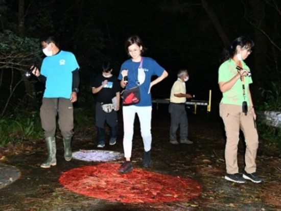 保全体験型ナイトツアー"AKISAMIYO" 世界自然遺産に登録された「やんばるの森」を探検！＜1組限定／約3時間／送迎あり＞