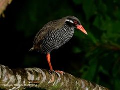 tour_img01