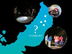 akisamiyo_img02