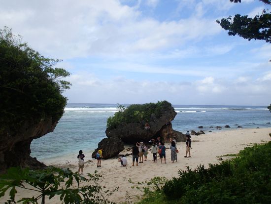エコツアー　グアムの自然環境を学ぼう！グアム島の成り立ちやジャングルと海の関係を解説　有名な観光地「恋人岬」にも訪問＜2時間〜2.5時間／日本語ガイド＞