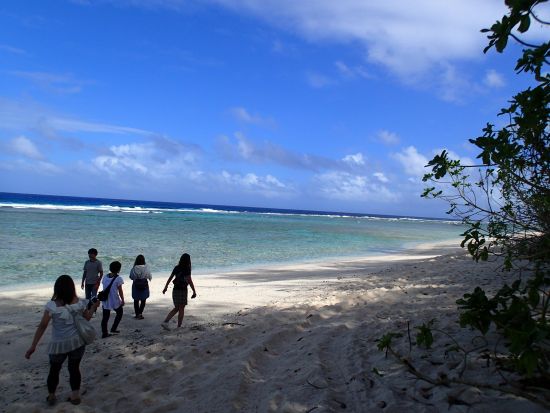 エコツアー　グアムの自然環境を学ぼう！グアム島の成り立ちやジャングルと海の関係を解説　有名な観光地「恋人岬」にも訪問＜2時間〜2.5時間／日本語ガイド＞