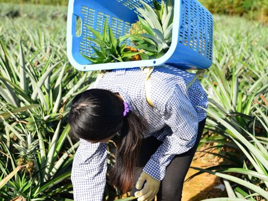 KEW_6845-1024x683