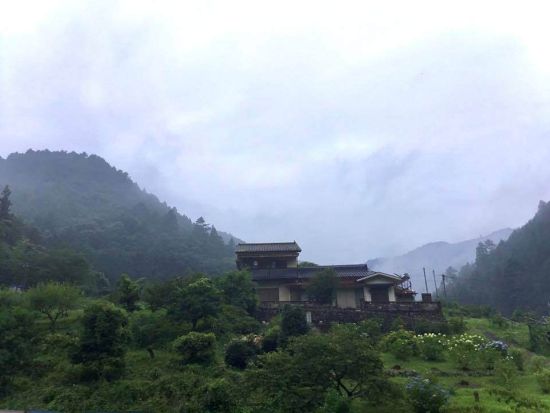 本格忍者体験1.5時間コース 礼法を学ぶ 体術＋剣術 内容はアレンジ可！野外体験OK 忍者修行で心技を磨こう！＜野忍庵／あきる野市＞