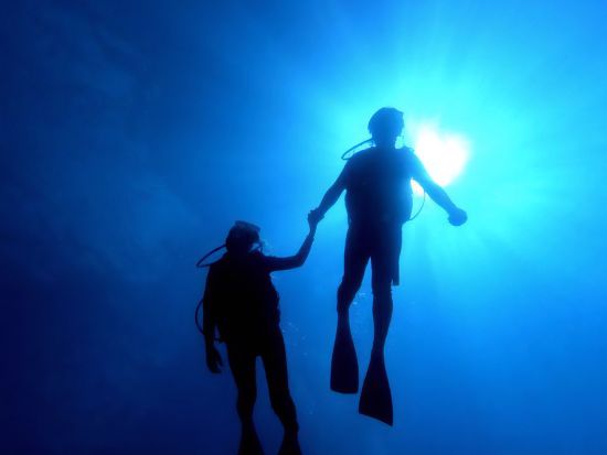 体験ダイビング 日本語インストラクター貸切！透明度抜群の西オアフの海でビーチダイビング＜ビーチ／1ダイブ＞by アプアダイビング