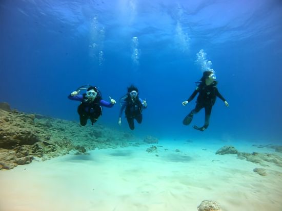 体験ダイビング 日本語インストラクター貸切！透明度抜群の西オアフの海でビーチダイビング＜ビーチ／1ダイブ＞by アプアダイビング