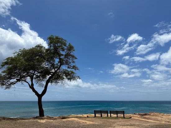 体験ダイビング 日本語インストラクター貸切！透明度抜群の西オアフの海でビーチダイビング＜ビーチ／1ダイブ＞by アプアダイビング