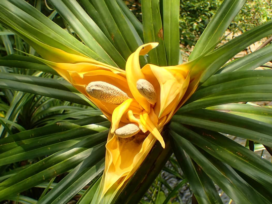 スクリーンショット 2024-05-15 165241