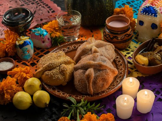 【11月1日・2日限定】メキシコの祝祭 死者の日ツアー！メキシコ国立自治大学＋ミスキックを巡り映画の世界を体験＜午後／日本語ガイド／メキシコシティ発＞