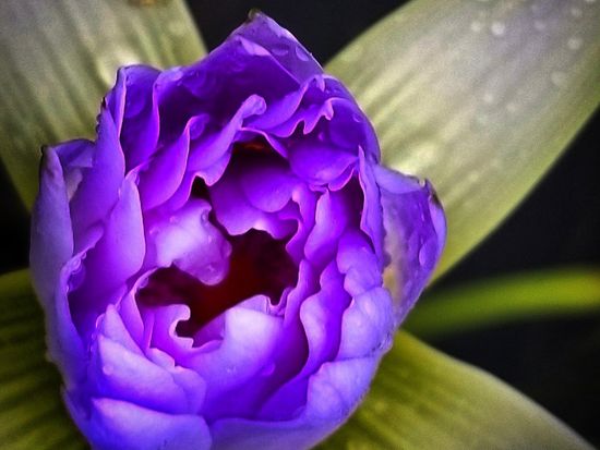 IMG_20190528_092237_365