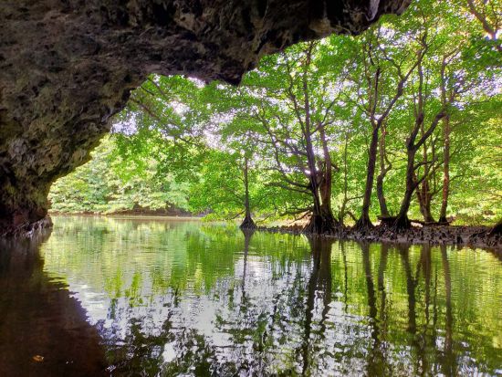 マングローブカヌーツアー　島内最大の流域面積を誇る宮良川のマングローブを探索！＜当日10時まで予約可＞By 石垣島観光