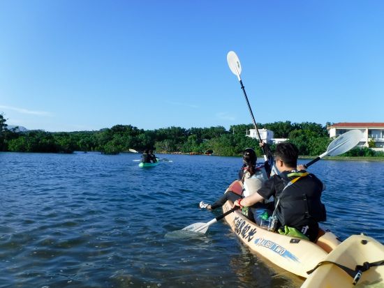 マングローブカヌーツアー　島内最大の流域面積を誇る宮良川のマングローブを探索！＜当日10時まで予約可＞By 石垣島観光