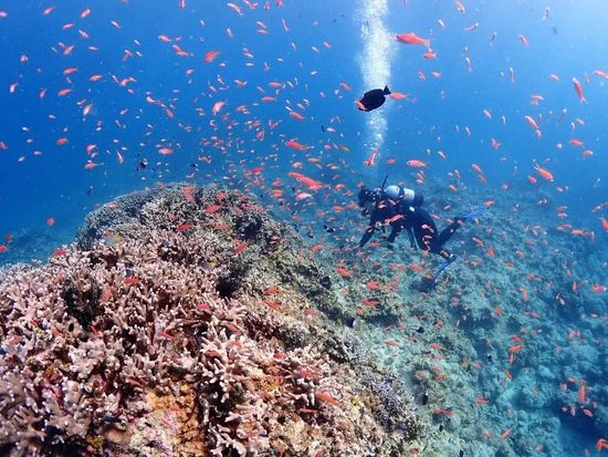 6f907100-ae1c-46c9-8052-528a95af3982