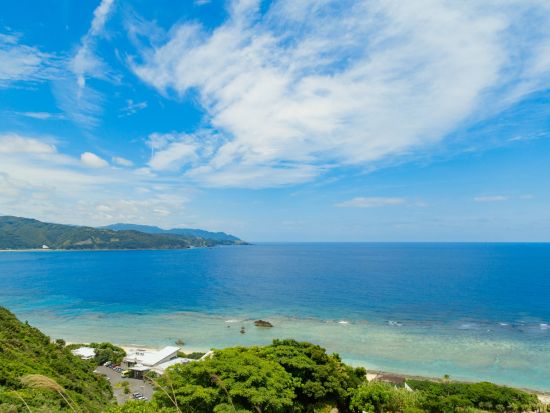 E-bikeレンタル 自転車で世界自然遺産の島を快走！便利な乗り捨て＆荷物一時預かりサービス付きプランあり ＜奄美市・龍郷町エリア＞