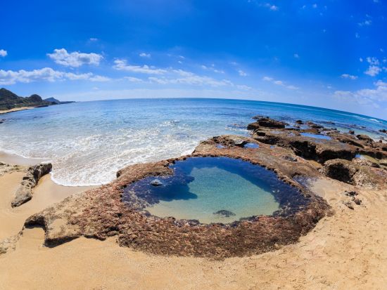 E-bikeレンタル 自転車で世界自然遺産の島を快走！便利な乗り捨て＆荷物一時預かりサービス付きプランあり ＜奄美市・龍郷町エリア＞